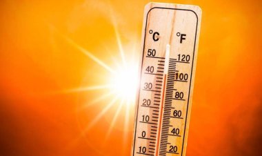 MP WEATHER NEWS : प्रदेश में गर्मी की दस्तक, हीट वेव के साथ वार्म नाइट का अलर्ट