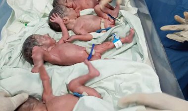 भोपाल में महिला ने एक साथ 4 बच्चों को दिया जन्म, हुए दो बेटियां और दो बेटे