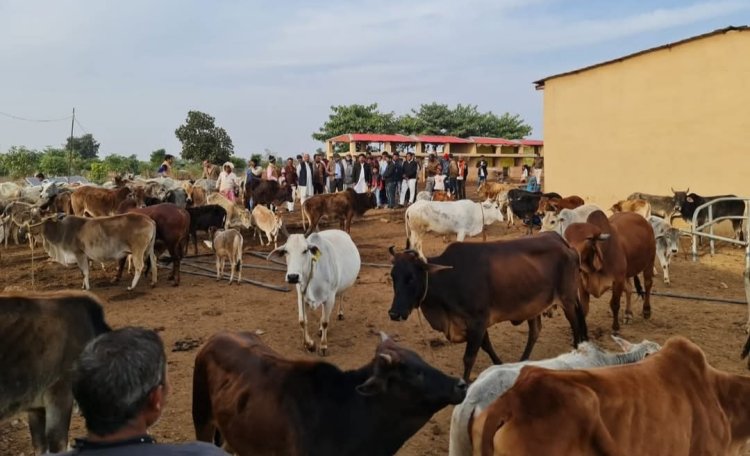 MP NEWS : 71 करोड़ से बन रहा प्रदेश का सबसे बड़ा गौधाम,1303 एकड़ में हो रहा तैयार
