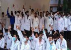 BHOPAL NEWS : हमीदिया में जूनियर डॉक्टर्स हड़ताल पर, DME को पद से हटाने की मांग 