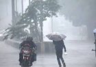 मऊगंज: आंधी के साथ बारिश से किसानों की फसल को नुकसान