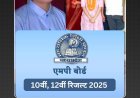 MP Board Results 2025 : 12वीं में स्टेट टॉपर रही प्रियल द्विवेदी, सिंगरौली की प्रज्ञा को 500/500, देखिए मेरिट लिस्ट