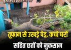 ग्रामीण क्षेत्रों में आंधी, तूफान से उखड़े पेड़, कच्चे घरों सहित छतों को नुकसान