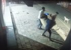 CRIME NEWS : लापता युवक का डैम में मिला शव, कैफे संचालक पर हत्या के आरोप