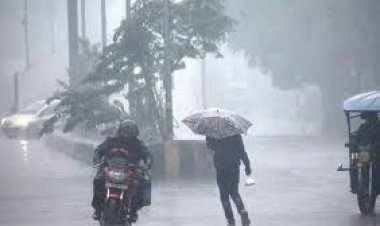 मऊगंज: आंधी के साथ बारिश से किसानों की फसल को नुकसान