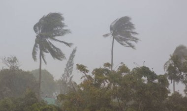 MP Weather News : प्रदेश में तेज आंधी और बारिश का अलर्ट