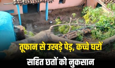 ग्रामीण क्षेत्रों में आंधी, तूफान से उखड़े पेड़, कच्चे घरों सहित छतों को नुकसान