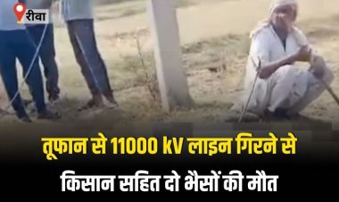 आंधी तूफान से 11 हजार केव्ही लाइन की गिरने से चपेट में आए किसान सहित दो भैसों की मौत