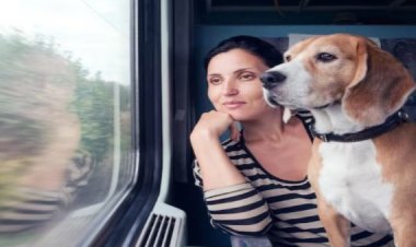 अब ट्रेन में Pet के साथ सफर हुआ आसान, रेलवे ने शुरू की ऑनलाइन बुकिंग सुविधा