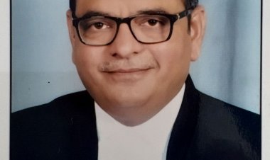 MP NEWS : NGT भोपाल बेंच में निर्विरोध अध्यक्ष निर्वाचित हुए अजय गुप्ता