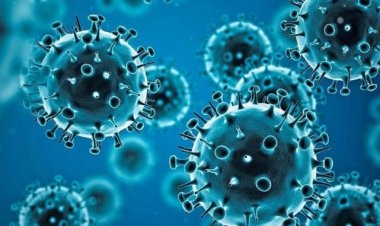 COVID-19 in India : देश में तेजी से बढ़ रहे कोरोना के एक्टिव केस, इंदौर में 24 घंटे में मिले 4 नए केस
