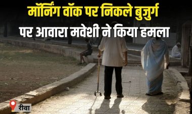 मॉर्निंग वॉक पर निकले बुजुर्ग पर आवारा मवेशी ने किया हमला, हालत गंभीर