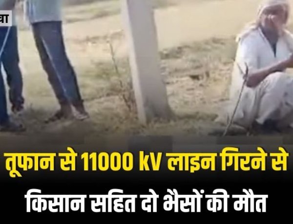 आंधी तूफान से 11 हजार केव्ही लाइन की गिरने से चपेट में आए किसान सहित दो भैसों की मौत