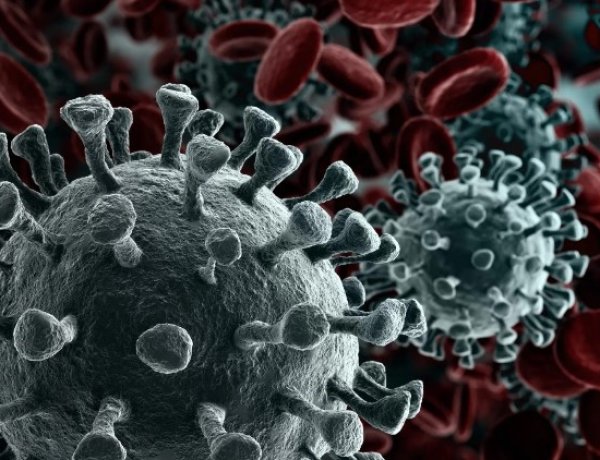 Corona virus :  MP के बड़े शहरों में कोरोना को लेकर तैयारी सुस्त, गाइडलाइन का इंतजार