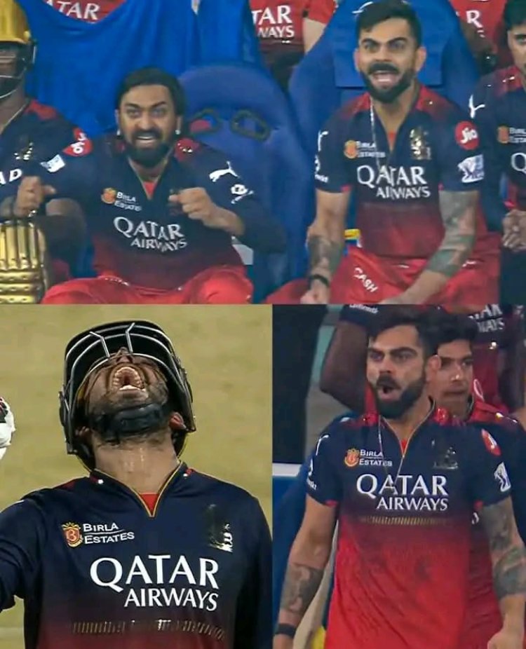 IPL 2025 : 13 साल बाद क्वालिफायर-1 में पहुंची RCB, लखनऊ को 6 विकेट से हराया