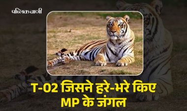 T-02 जिसने बाघों की उम्मीद को पुनर्जीवित किया, पन्ना की दादी मां अब खामोश हो गई