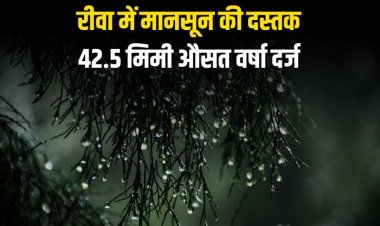 रीवा में मानसून की दस्तक, अब तक 42.5 मिमी औसत वर्षा दर्ज