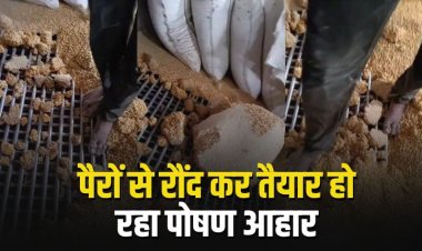 पोषण आहार के नाम पर सड़ा गला अनाज, पैरों से रौंद कर तैयार हो रहा गर्भवती महिलाओं और बच्चों के लिए दलिया और पंजीरी