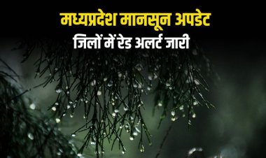 मध्यप्रदेश में मानसून ने पकड़ी रफ्तार: 20 जिलों में भारी बारिश का अलर्ट, इंदौर में 4 इंच तक पानी गिरने की संभावना