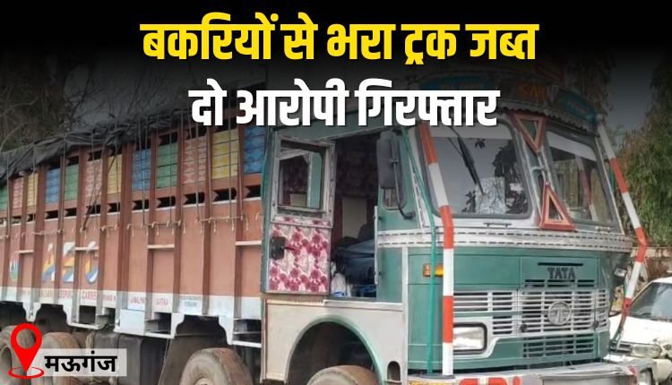 बकरियों से भरा ट्रक जब्त, दो आरोपी गिरफ्तार