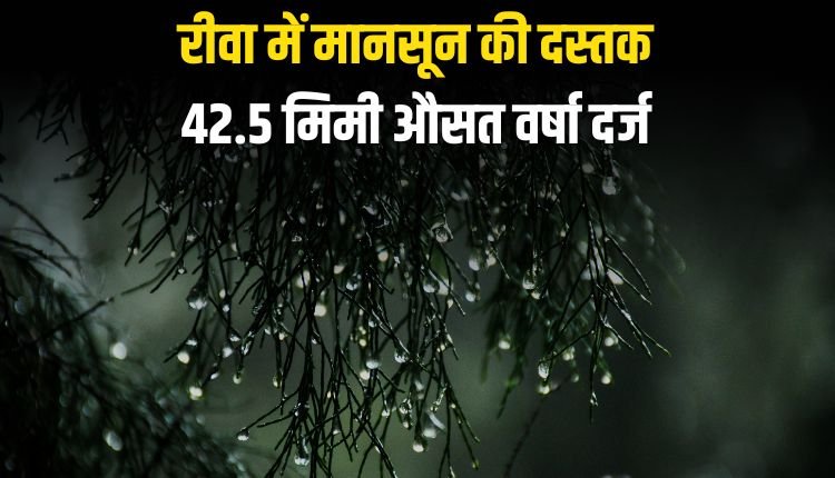 रीवा में मानसून की दस्तक, अब तक 42.5 मिमी औसत वर्षा दर्ज