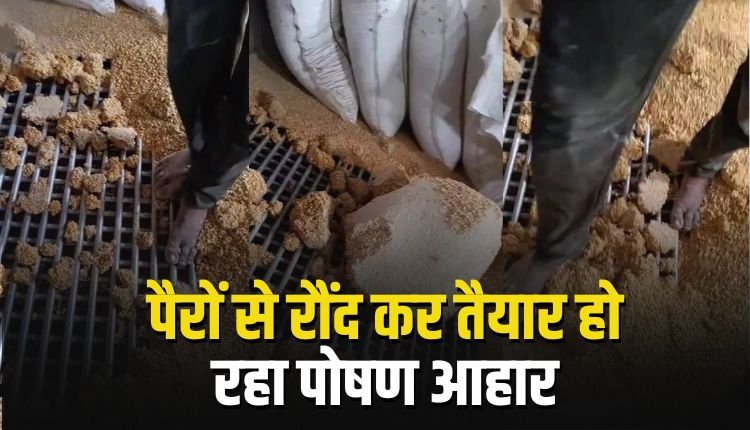 पोषण आहार के नाम पर सड़ा गला अनाज, पैरों से रौंद कर तैयार हो रहा गर्भवती महिलाओं और बच्चों के लिए दलिया और पंजीरी