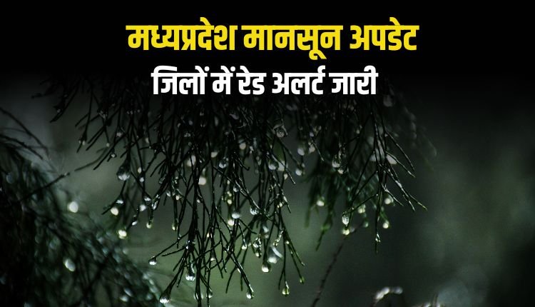 मध्यप्रदेश में मानसून ने पकड़ी रफ्तार: 20 जिलों में भारी बारिश का अलर्ट, इंदौर में 4 इंच तक पानी गिरने की संभावना