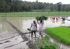 किसानों का 84 करोड़ का ब्याज माफ