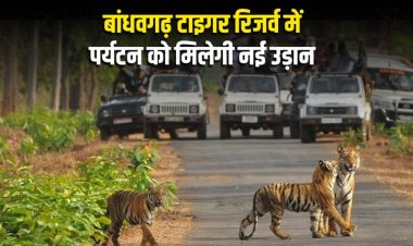 बांधवगढ़ टाइगर रिजर्व में पर्यटन को मिलेगी नई उड़ान