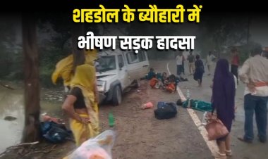 शहडोल के ब्यौहारी में भीषण सड़क हादसा