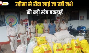 उड़ीसा से रीवा लाई जा रही नशे की बड़ी खेप पकड़ाई  ट्रक से 4 क्विंटल 48 किलो गांजा बरामद