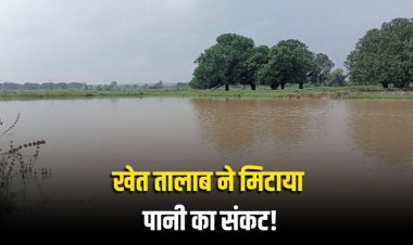 मऊगंज के बेलहाई खुर्द में खेत तालाब ने मिटाया पानी का संकट