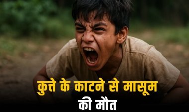 कुत्ते के काटने से मासूम की हालत बिगड़ी, करने लगा जानवर जैसी हरकतें, इलाज के अभाव में मौत