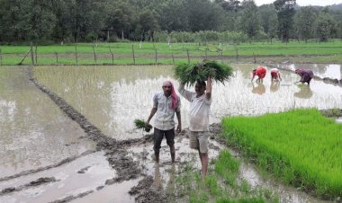 किसानों का 84 करोड़ का ब्याज माफ