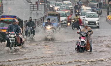 लगातार हो रही बारिश को देखते हुए कलेक्टर ने दिए सख्त निर्देश