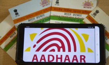 11.7 करोड़ मौतें, आधार डिलीट किए 1.15 करोड़ 