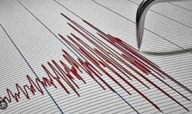 अमेरिका के अलास्का में 7.3 तीव्रता के भूकंप से कांप उठी धरती सुनामी का अलर्ट जारी