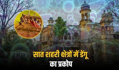 मऊगंज सहित सात शहरी क्षेत्रों में मिले डेंगू के मरीज