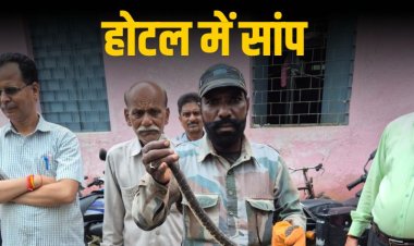 मैहर गर्ल्स हॉस्टल में घुसा सांप
