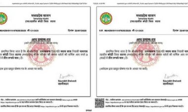 महीने में सिर्फ 25 पैसे कमाता है यह व्यक्ति, प्रमाण पत्र देख हो जाएंगे हैरान