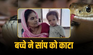 एक साल के बच्चे ने काटा सांप, बच्चा बचा – सांप मरा!