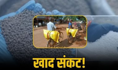 दोगुनी रेट में बाजार में बिक रही अमानक खाद, गुणवत्ता की कोई नहीं है गारंटी