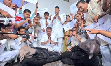 MP Vidhan Sabha: नेता प्रतिपक्ष ने अनुपूरक बजट पर उठाए सवाल