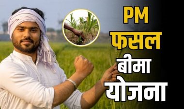 प्राकृतिक आपदाओं से फसल नुकसान पर राहत दे रही 'प्रधानमंत्री फसल बीमा योजना', किसानों को न्यूनतम प्रीमियम पर अधिक सुरक्षा