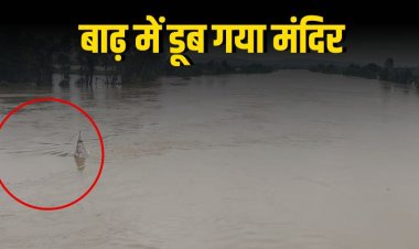 रायसेन में नर्मदा-बेतवा उफान पर, बाढ़ में डूबे मंदिर और गांव