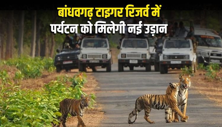 बांधवगढ़ टाइगर रिजर्व में पर्यटन को मिलेगी नई उड़ान