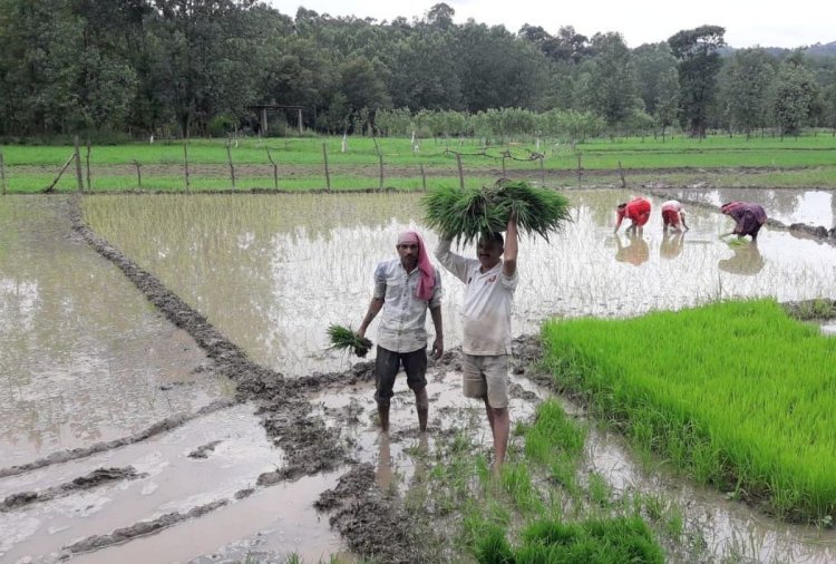 किसानों का 84 करोड़ का ब्याज माफ