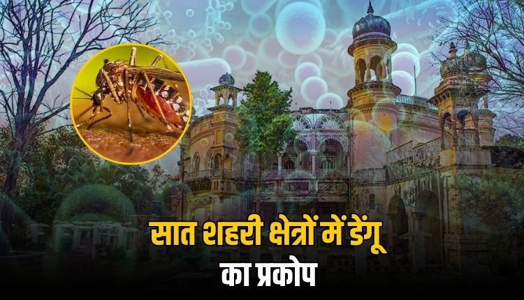 मऊगंज सहित सात शहरी क्षेत्रों में मिले डेंगू के मरीज