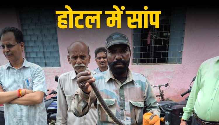 मैहर गर्ल्स हॉस्टल में घुसा सांप