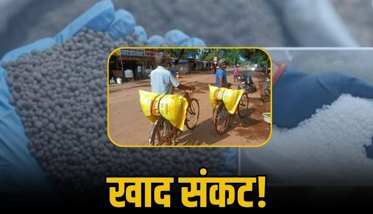 दोगुनी रेट में बाजार में बिक रही अमानक खाद, गुणवत्ता की कोई नहीं है गारंटी